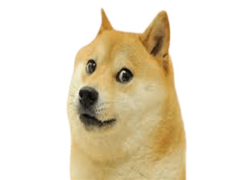 Doge Drip Collection Opensea