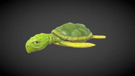 Low Poly Turtle D Models Sketchfab
