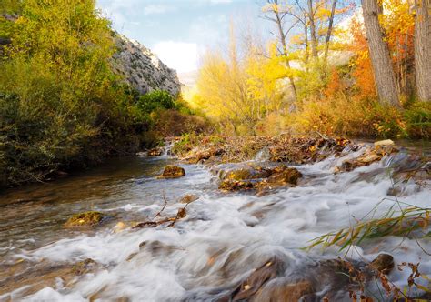 Autumn Rivers Stones Trees Branches Hd Wallpaper Rare Gallery