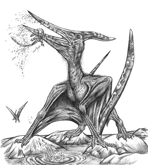 Pteranodon By Malvit On Deviantart
