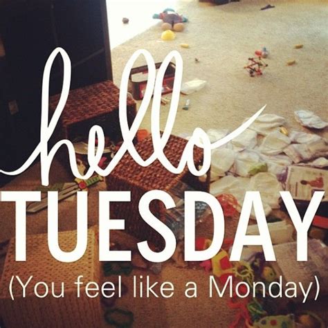 Hello Tuesday You Feel Like A Monday Pictures Photos And Images For