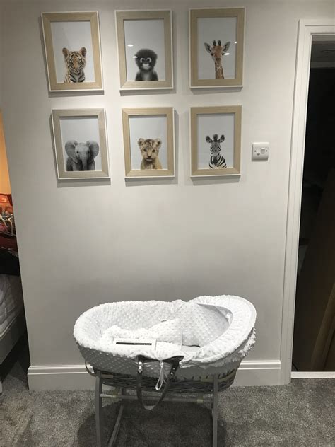 Neutral wall colors help make jungle themes stand out, and adding a. Baby nursery | Baby nursery, Nursery, Baby boy nurseries