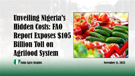 𝐔𝐧𝐯𝐞𝐢𝐥𝐢𝐧𝐠 𝐍𝐢𝐠𝐞𝐫𝐢𝐚'𝐬 𝐇𝐢𝐝𝐝𝐞𝐧 𝐂𝐨𝐬𝐭𝐬: 𝐅𝐀𝐎 𝐑𝐞𝐩𝐨𝐫𝐭 𝐄𝐱𝐩𝐨𝐬𝐞𝐬 $𝟏𝟎𝟓 𝐁𝐢𝐥𝐥𝐢𝐨𝐧 𝐓𝐨𝐥𝐥