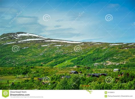Beautiful Landscape And Scenery Of Norway Green Scenery Of Hills And
