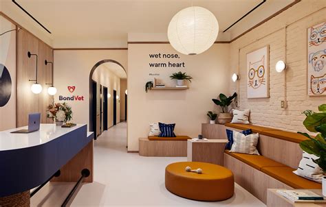 Islyn Studio Design for Bond Vet