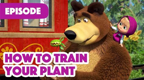 Masha And The Bear 💥 New Episode 2022 💥how To Train Your Plant Episode