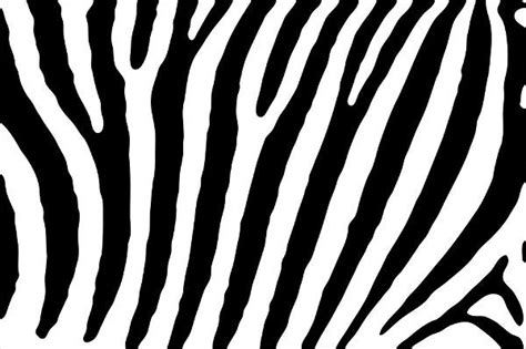 9 Zebra Patterns Psd Vector Eps Png Format Download