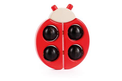 Ladybird Bajo Wooden Toys