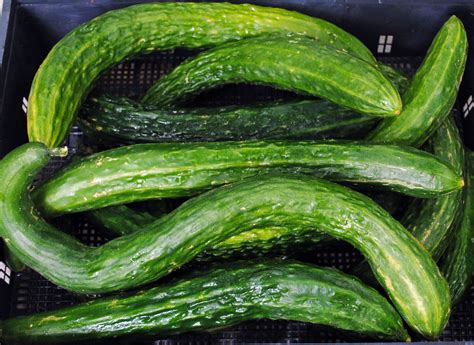 A fruit is normally sweet (or sometimes sour) and can be eaten in its raw (uncooked) state. Suyo Long Asian Cucumber