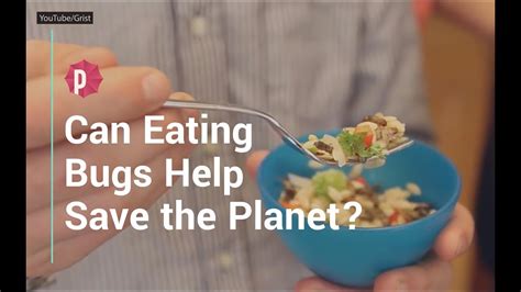 Can Eating Bugs Help Save The Planet Youtube