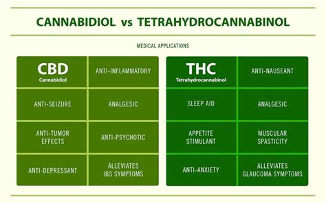 Cbd Vs Thc Understand These Weed Components Completely