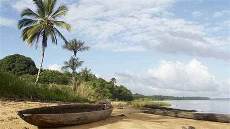 Suriname Weer En Klimaat ☀️ Beste Reistijd 🌦️️ Temperatuur