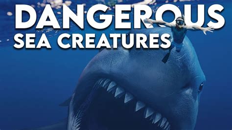 Top 10 Most Dangerous Sea Creatures Youtube
