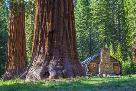 For all cabin and campground reservations and questions goto reserve california. Gearbuilder.de • Thema anzeigen - Redwood - Sequoia ...