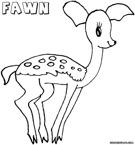 Baby deer coloring pages getcoloringpages com. Fawn deer coloring pages | Coloring pages to download and ...