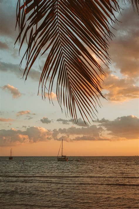 Best Beaches In Miami Florida In 2021 American Beaches Miami