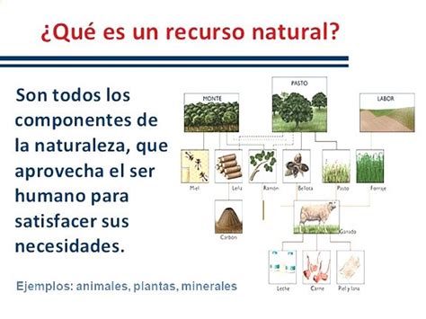 Definición De Los Recursos Naturales Blog Didáctico