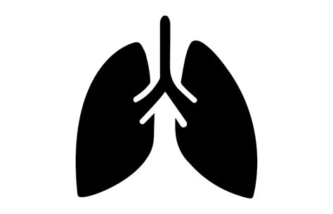 Lungs Png Free Download Png Arts
