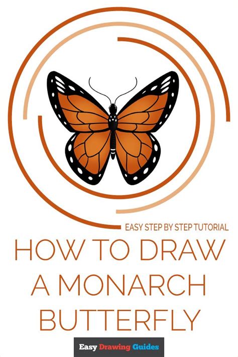 How To Draw A Monarch Butterfly Really Easy Drawing Tutorial In 2021