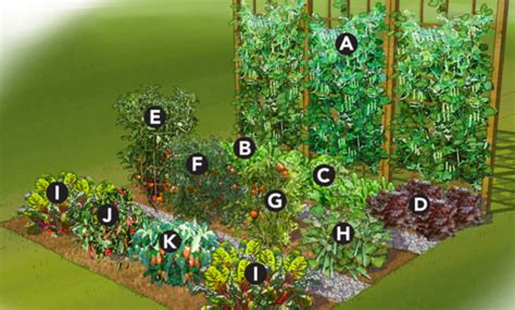 25 Brilliant Vegetable Garden Layout Ideas For Beginners Garden And Happy