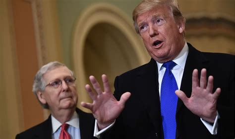 Donald Trump Blames Gop Senate Leader For Republican Losses Mitch