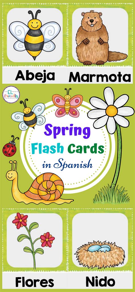 La Primavera Spring Flash Cards In Spanish Study Cards Flashcards