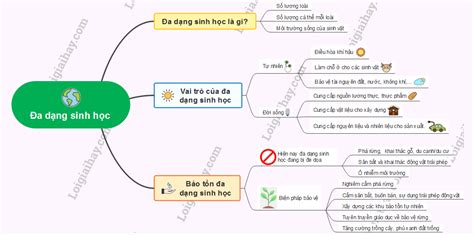 Đa dạng sinh học KHTN 6 Kết nối tri thức với cuộc sống Khoa học tự