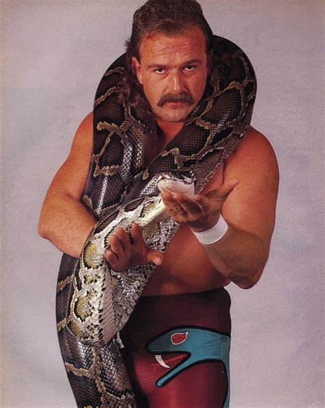 Jake The Snake Roberts Wwf Wrestling Superstars