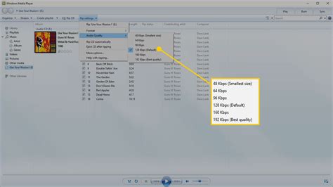 How To Copy A Cd To Another Cd On A Windows 8 Snohop
