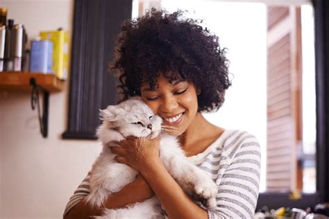 7 Things That Help Me Cope With Grief After Losing A Cat Catster