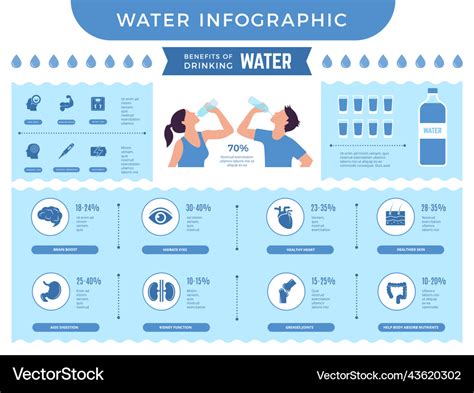 Water Infographic Benefits Of Drinking More Vector Image