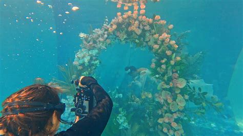 Mayesh Design Star Underwater Floral Garden Behind The Scenes