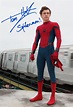 Tom Holland Autograph Spider-Man Avengers Signed Movie Photo 832 | Tom ...