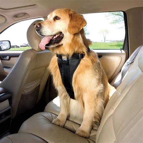Kurgo Tru Fit Enhanced Strength Car Harness For Dogs