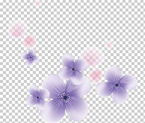 Petal Purple Flower Png Clipart Blossom Cdr Cherry Blossom Color