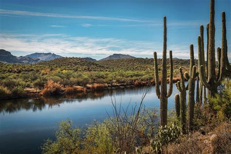Riverside In The Sonoran Photograph By Saija Lehtonen Fine Art America