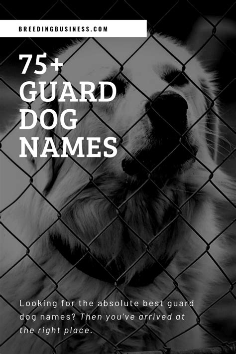 75 Guard Dog Names Whats Your Favorite Loyal Dog Name — Breeding