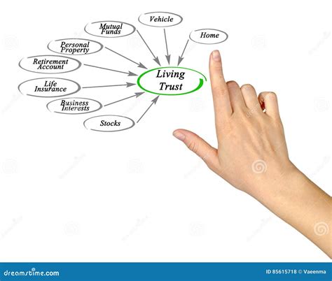 Diagram Of Living Trust Stock Photo Image Of Interests 85615718