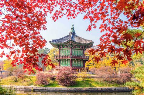 Những Lưu ý Khi Du Lịch Hàn Quốc Vào Mùa Thu Lys Travel