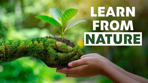 Lessons To Learn From Nature Embracing The Wisdom Of The Earth Eco World