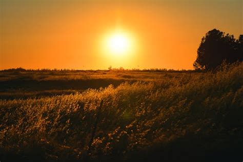 Sunray Across Green Grass Field · Free Stock Photo