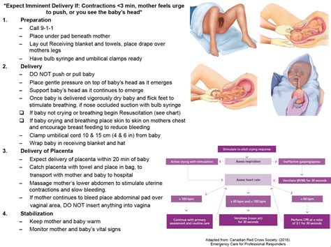 Emergency Childbirth Ob Obstetrics Kit Wildmedkits