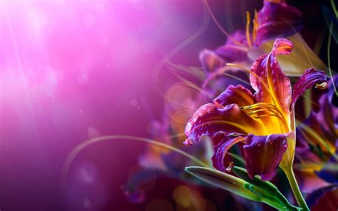You can also upload and share your favorite cool flower wallpapers. Cool abstract flower wallpaper HD | PixelsTalk.Net