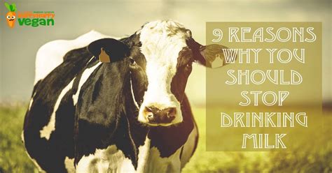 9 reasons why you should stop drinking milk
