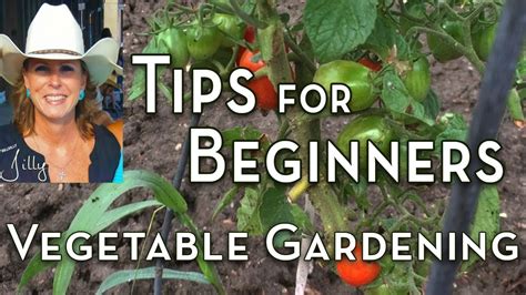 Vegetable Gardening Tips For Beginners Youtube