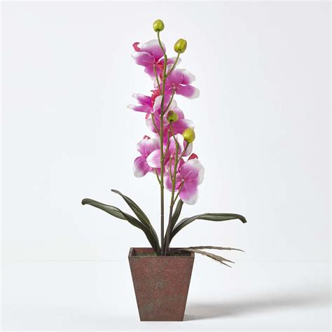 Artificial Phalaenopsis Orchid Flower With Lifelike Leaves In