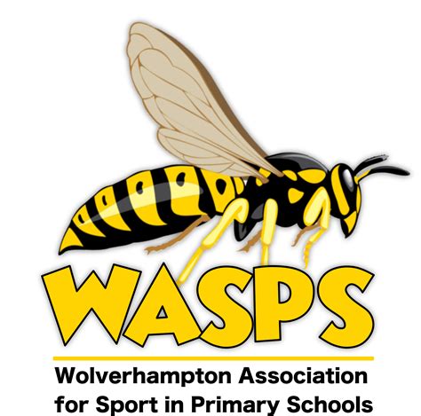 Wasps Supporting School Sport In Wolverhampton Primary Schools