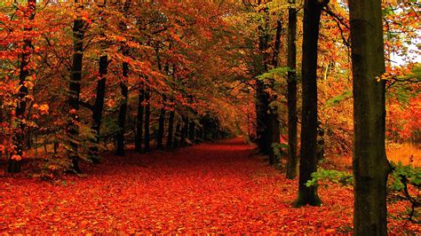 High Resolution Fall Wallpapers Top Free High Resolution
