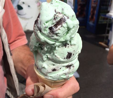 Nys Fair Foods Polar Bear Ice Cream Restaurant Row 2015 Reviews