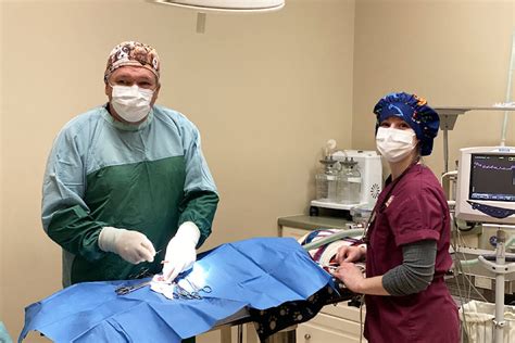 Risk of burnout continues to challenge Cariboo veterinarians